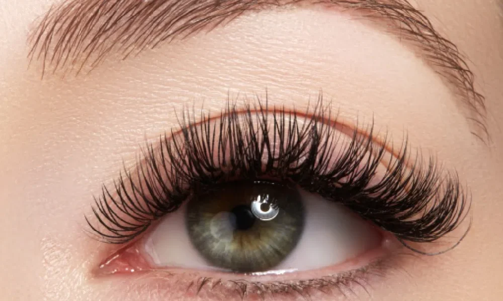Lash Lift & Brow Lamination services in Tampa, FL